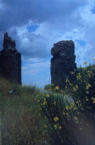 Ruderi della cinta muraria dell' antica Sassone